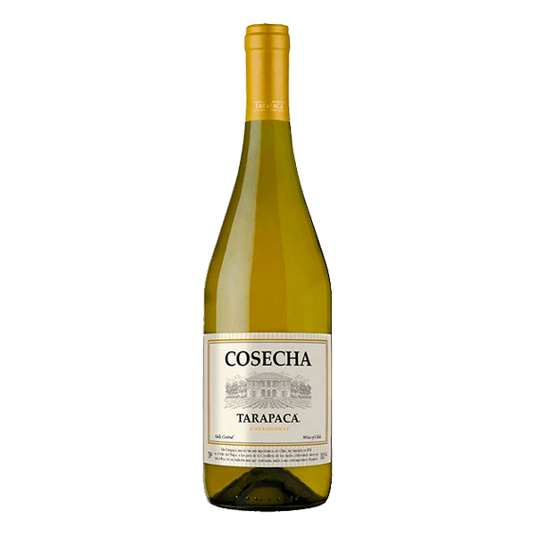 Vinho: Vinho Chileno Cosecha Tarapacá Chardonnay 750ml - Vinho