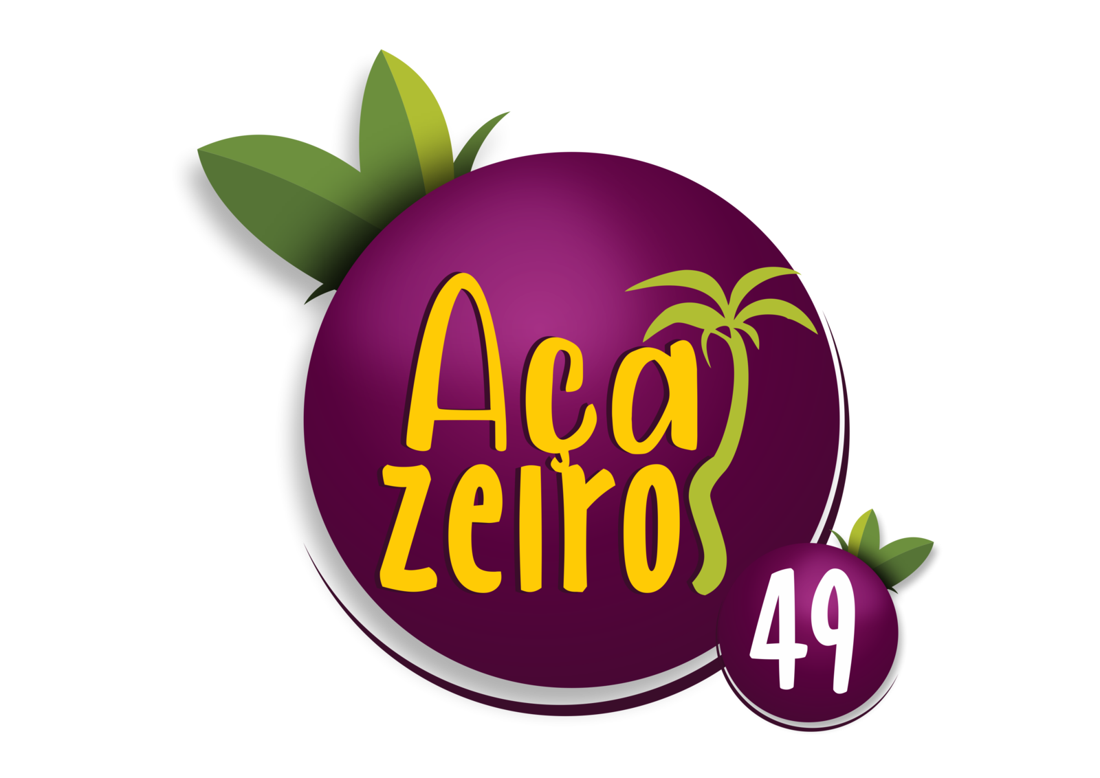 A&ccedil;a&iacute;zeiros 49