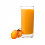 Sucos: Suco Cajá 400ml - Suco