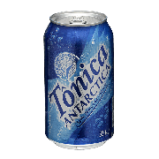 Refrigerante: água toníca - 350 ml