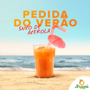 Suco: SUCO ACEROLA 1l - 1 LITRO