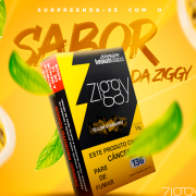 Ziggy 50g: ZIGGY - MARACUJA - PACK MISTO R$80,00/// PACK FECHADO R$ 75,50 CADA /// ACIMA DE 12 PACK FECHADO 73,50 CADA