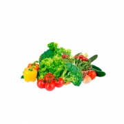 Verduras: Manjericão - Unidade