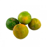 Frutas: Limão Galego (250g) - Frutas