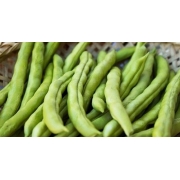Legumes, Tubérculos e Raízes: Vagem (molho) - Vagem (molho)