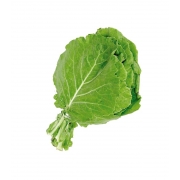 Verduras: Couve - Unidade