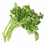Verduras: Agrião - Unidade