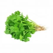 Verduras: Coentro - Unidade
