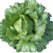 Verduras: Alface Americana - Unidade