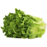 Verduras: Chicória - Unidade