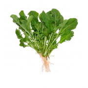 Verduras: Rúcula - Unidade