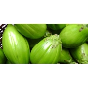 Legumes, Tubérculos e Raízes: jiló500g - jiló 500g