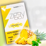 Ziggy 50g: ZIGGY - ABACAXI TROPICAL - PACK MISTO R$80,00/// PACK FECHADO R$ 75,50 CADA /// ACIMA DE 12 PACK FECHADO 73,50 CADA