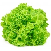 Verduras: Alface Crespa - Unidade