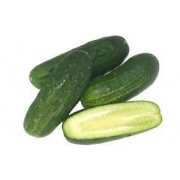 Legumes: Pepino Comum 1Kg - Legumes