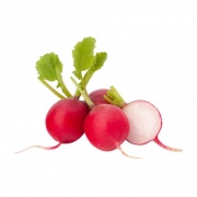 Legumes: Rabanete 500g - R$ 7,89 Kg