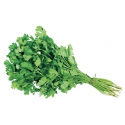 Verduras e Ervas: Coentro (1 Molho) - Verduras e Ervas