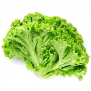 Verduras e Ervas: Alface Crespa (1 Molho) - Verduras e Ervas