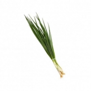 Verduras e Ervas: Cebolinha (1 Molho) - Verduras e Ervas