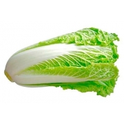 Verduras e Ervas: Acelga (1 und) - Verduras e Ervas
