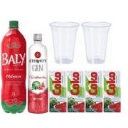 Combo: Combo Gin Eternity Melancia C/ Baly Melancia 2L - Gin Eternity 900ml, Bally Melancia 2L, 4 Gelos e 2 Copos 700ml