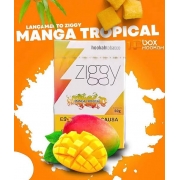Ziggy 50g: ZIGGY - MANGA TROPICAL - PACK MISTO R$80,00/// PACK FECHADO R$ 75,50 CADA /// ACIMA DE 12 PACK FECHADO 73,50 CADA
