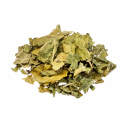 Empório: Espinheira Santa 20G - Espinheira Santa 20G