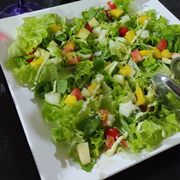 Pratos Saudáveis: Salada Tropical - Prato (Ingredientes: Alface Americana, Maçã, Manga, Molho de Limão, Palmito, Rúcula, Tomate)