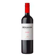 VINHOS: Argentino - BENJAMIN- Malbec - Garrafa 750 ml - Malbec