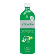 Kits Completos: Gin intencion maça verde + Baly 2l + gelo 3kg - Gin intencion maça verde + Baly 2l + gelo 3kg