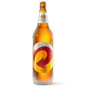 bebidas: skol 600ml - cerveja