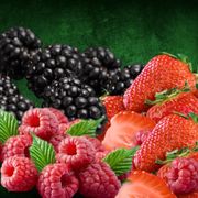 Frutas Congeladas: Frutas Vermelhas - 100g