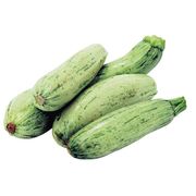 Legumes, Tubérculos e Raízes: Abobrinha (500g) - Legumes, Tubérculos e Raízes