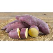 Legumes, Tubérculos e Raízes: Batata Doce (500g) - Legumes, Tubérculos e Raízes