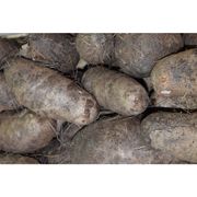 Legumes, Tubérculos e Raízes: Cará (500g) - Legumes, Tubérculos e Raízes