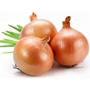 Legumes, Tubérculos e Raízes: Cebola Branca (250g) - Legumes, Tubérculos e Raízes