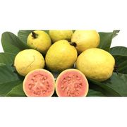 Frutas: Goiaba (250g) - Frutas