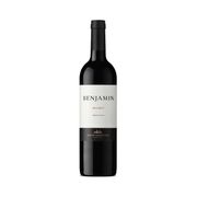 Vinhos Argentinos: Benjamin Tinto Malbec - Vinho Argentino Tinto Seco Malbec Benjamin Nieto Senetiner 750ml