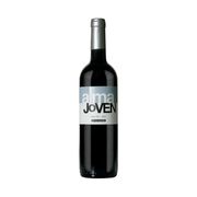 Vinhos Uruguaios: Alma Joven Tinto Malbec - Vinho Uruguaio Tinto Seco Alma Joven Malbec 750ml