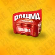 Fardos de Cervejas: Brahma Chopp 473ml Fardo - Brahma Chopp 473ml Fardo