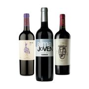 Kits: Kit Vinhos Malbec - Chac Chac + Alma Joven + Otro Loco - 750ml