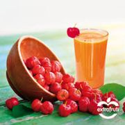 Sucos: Suco Acerola 350 ml - Suco