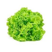 Fruteira: Alface Crespa - 1 pé
