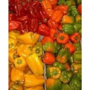Fruteira: Pimentão Unidade - Unidade
