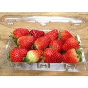 Fruteira: Bandeja Morango - Bandeja