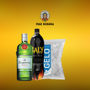 Kits Completos: Gin Tanqueray + Baly 2L + Gelo 3kg - Escolher o sabor do energetico na observação