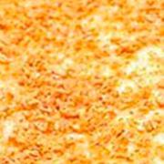 Tradicionais: 06-Alho - Pizza Grande Quadrada (16 Fatias) (Ingredientes: Molho de Tomate, Mussarela, Tomate, Alho Crocante, Orégano)