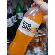 Refrigerantes: Trophy 2LT Laranja - 2lt