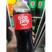 Refrigerantes: Trophy 2LT Cola - 2lt