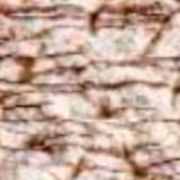 Doces Presidenciais: 107-Ninho Trufado - Pizza Grande Quadrada (16 Fatias) (Ingredientes: Mussarela, Creme de Leite, Chocolate, Leite em Pó, Geleia de Morango)